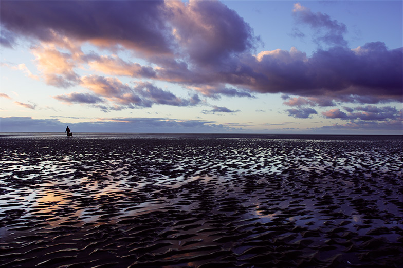 one woman, one dog / 3x2 + fylde coast [scenic] + people