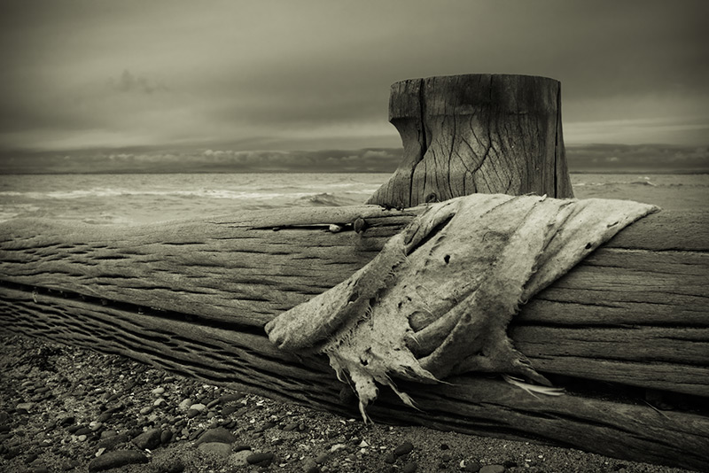 untitled #0031 / 3x2 + fylde coast [scenic] + beachcombing