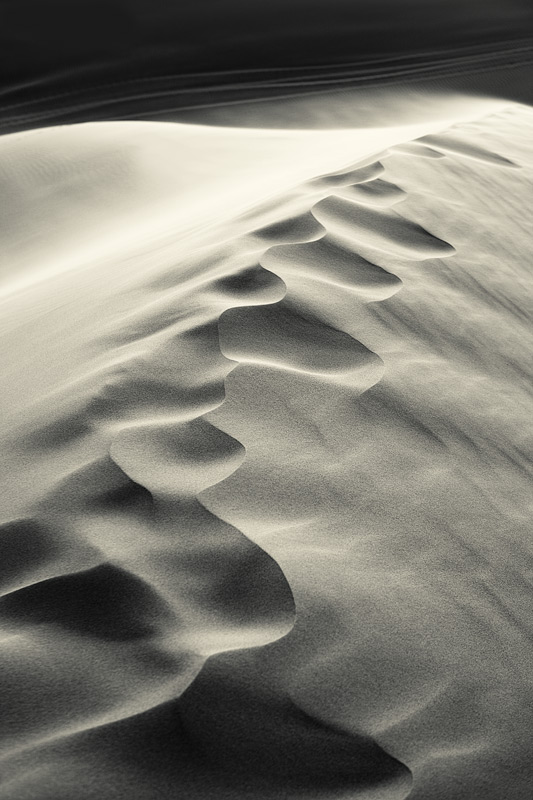 desert tracks #3