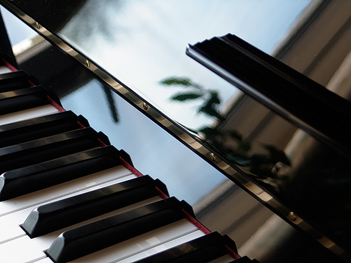 piano and leaves