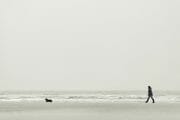 The Fylde Coast /  [a dogs life.jpg nggid041016 ngg0dyn 180x0 00f0w010c010r110f110r010t010]