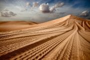 Dubai /  [desert tracks.jpg nggid03493 ngg0dyn 180x0 00f0w010c010r110f110r010t010]