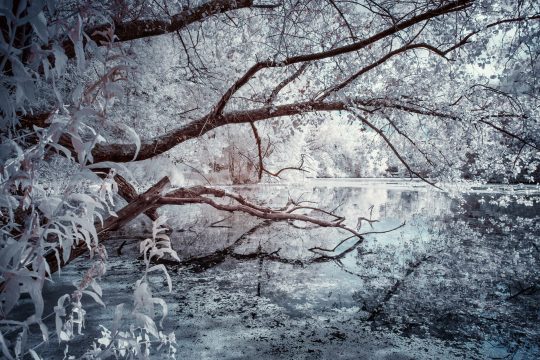 _XE20525 as Smart Object-1