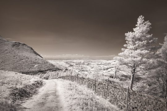 loweswater_2