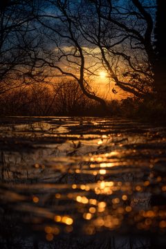 _1XT9544-1.jpg