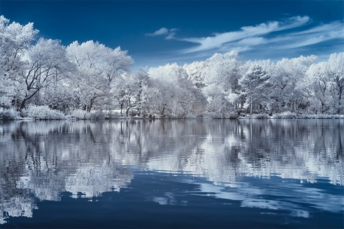 All Posts /  [stanely park infrared 2 f 500x333]