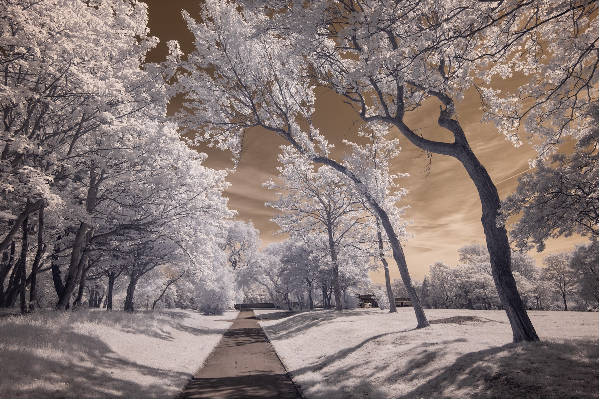 Stanley Park, May 2019 (IR) #2 / Stanley Park, Show the Original, Landscape Photography, Infrared, Fujinon XF 14mm f/2.8, Fujifilm X-E2, Blackpool [stanley park may 2019 2 o]