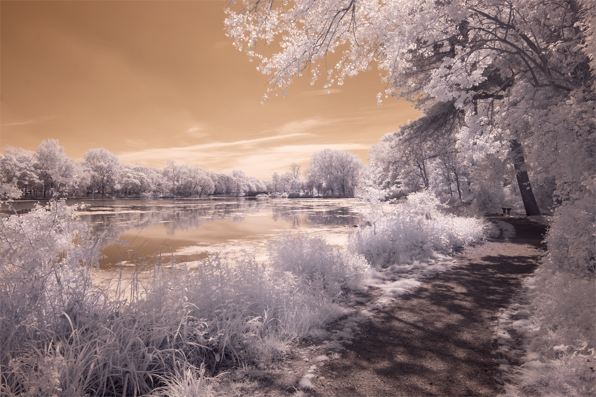 Stanley Park, May 2019 (IR) / Stanley Park, Show the Original, Landscape Photography, Infrared, Fujinon XF 14mm f/2.8, Fujifilm X-E2, Blackpool [stanley park may 2019 o]