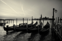 Experience Venice Photo Tour, 2017 1920px venice carnival 2012 1 2 na3ye5skkn1cxsucc9u05cwdato81121xwzv96c0fm - Experience Venice Photo Tour, 2017